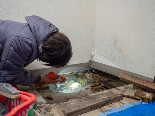 Best Post-Remediation Verification Testing  in Rochester, NH