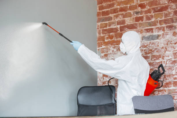 Best Mold Remediation for Healthcare Facilities  in Rochester, NH