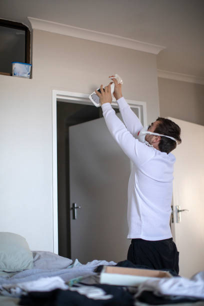 Trusted Rochester, NH Mold Removal Experts