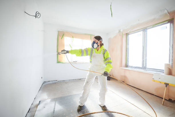 Best Mold Remediation for Healthcare Facilities  in Rochester, NH