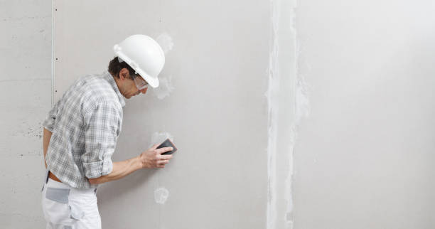 Best Real Estate Mold Inspection  in Rochester, NH