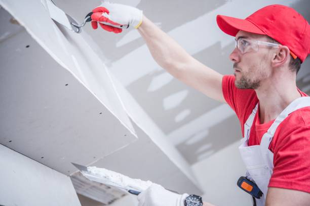 Best Mold Odor Removal Services  in Rochester, NH